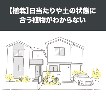 【植栽】日当たりや土の状態に合う植物がわからない